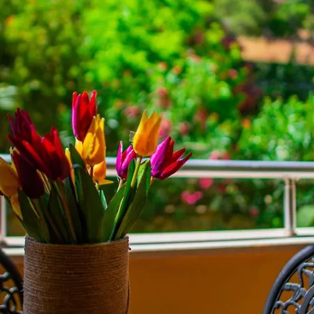 Dores 4* Турунч